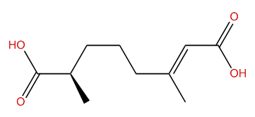 (R,E)-3,7-Dimethyl-2-octene-1,8-dioic acid